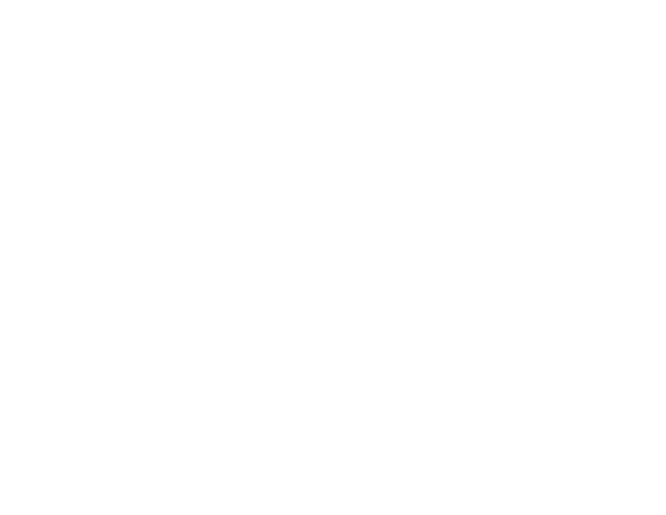Third Sector Enterprises